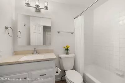 372 S 8th Street, Carbondale, CO 81623 - Photo 14