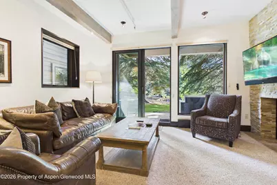 610 S West End Street #E103, Aspen, CO 81611 - Photo 4