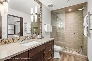 610 S West End St, Aspen, CO 81611 - Photo 16