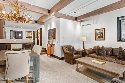 610 S West End Street #E103, Aspen, CO 81611 - Photo 6