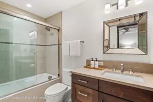 610 S West End St, Aspen, CO 81611 - Photo 18