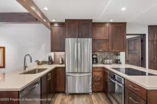 610 S West End St, Aspen, CO 81611 - Photo 12