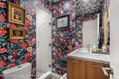 100 E Cooper Avenue #5, Aspen, CO 81611 - Photo 10