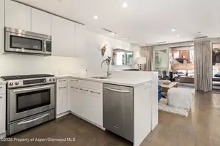 100 E Cooper Ave, Aspen, CO 81611 - Photo 6