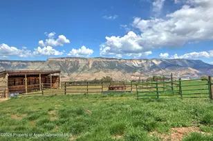5708 Co Rd 301, Parachute, CO 81635 - Photo 6