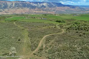 5708 Co Rd 301, Parachute, CO 81635 - Photo 42