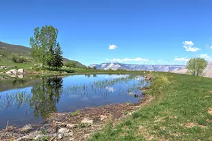 5708 Co Rd 301, Parachute, CO 81635 - Photo 46