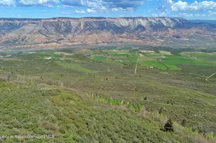 5708 Co Rd 301, Parachute, CO 81635 - Photo 50