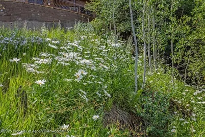 281 Pine Crest Drive, Snowmass Village, CO 81615 - Photo 104