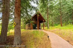 251 Chair Mountain Dr, Redstone, CO 81623 - Photo 58