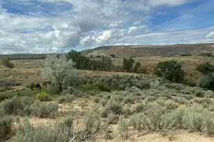 24203 S Colorado 13, Craig, CO 81625 - Photo 16
