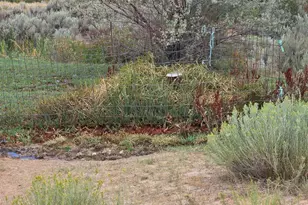24203 S Colorado 13, Craig, CO 81625 - Photo 18