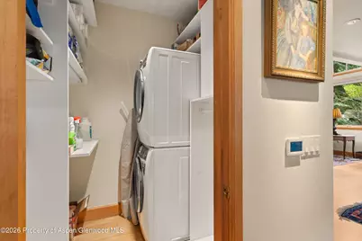 620 W Hallam Street, Aspen, CO 81611 - Photo 50