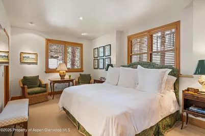 620 W Hallam Street, Aspen, CO 81611 - Photo 38