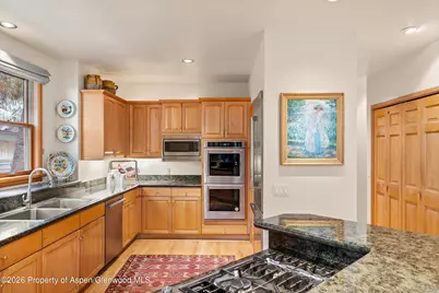 620 W Hallam Street, Aspen, CO 81611 - Photo 14