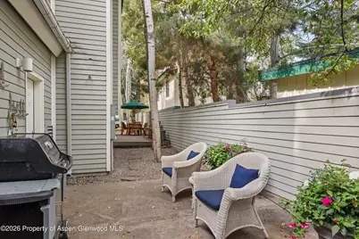620 W Hallam Street, Aspen, CO 81611 - Photo 22