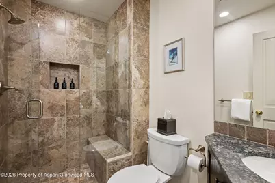 65 Campground Lane #55, Snowmass Village, CO 81615 - Photo 6