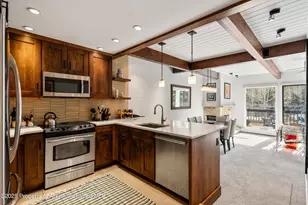 610 S West End St, Aspen, CO 81611 - Photo 10