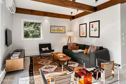 610 S West End Street #G204, Aspen, CO 81611 - Photo 6