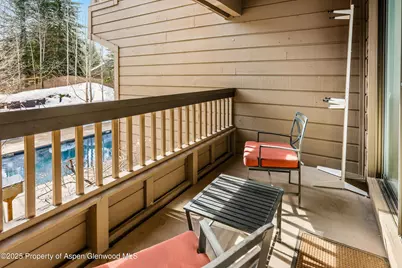 610 S West End Street #G204, Aspen, CO 81611 - Photo 16