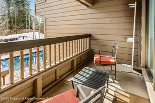 610 S West End St, Aspen, CO 81611 - Photo 16