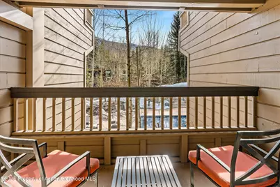 610 S West End Street #G204, Aspen, CO 81611 - Photo 18