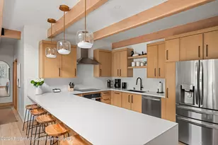 731 E Durant Ave, Aspen, CO 81611 - Photo 8