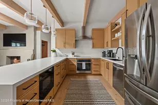 731 E Durant Ave, Aspen, CO 81611 - Photo 10