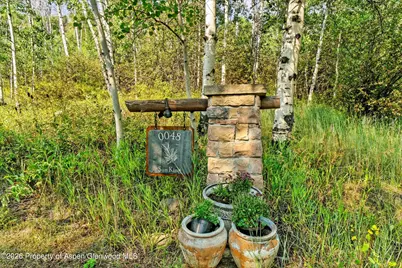 48 Sun King Drive, Glenwood Springs, CO 81601 - Photo 40