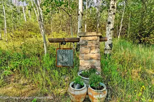 48 Sun King Dr, Glenwood Springs, CO 81601 - Photo 40