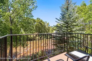 455 Gold Rivers Ct, Basalt, CO 81621 - Photo 2