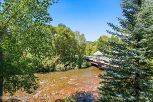 455 Gold Rivers Ct, Basalt, CO 81621 - Photo 26
