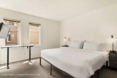 814 W Bleeker Street #B3, Aspen, CO 81611 - Photo 12