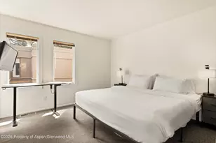 814 W Bleeker St, Aspen, CO 81611 - Photo 12