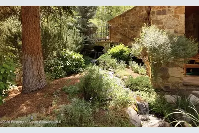 161 Popcorn Lane, Aspen, CO 81611 - Photo 86