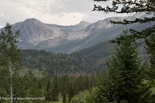 161 Popcorn Ln, Aspen, CO 81611 - Photo 80