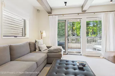 610 S West End Street #K203, Aspen, CO 81611 - Photo 8