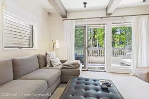 610 S West End St, Aspen, CO 81611 - Photo 8