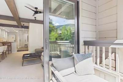 610 S West End Street #K203, Aspen, CO 81611 - Photo 12