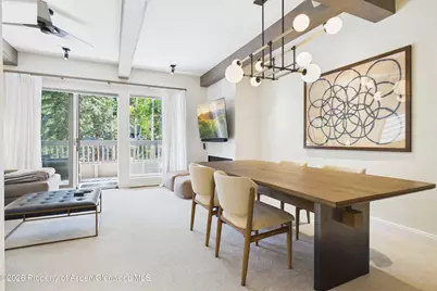 610 S West End Street #K203, Aspen, CO 81611 - Photo 6