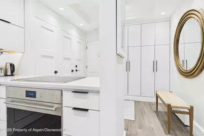 610 S West End Street #K203, Aspen, CO 81611 - Photo 4
