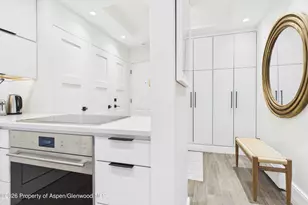 610 S West End St, Aspen, CO 81611 - Photo 4