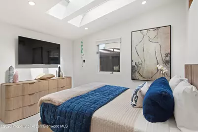 611 S West End Street #Unit 5, Aspen, CO 81611 - Photo 10