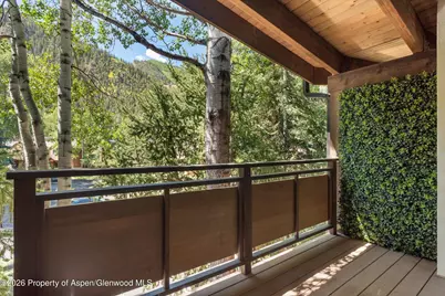 611 S West End Street #Unit 5, Aspen, CO 81611 - Photo 16