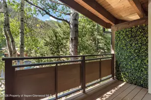 611 S W End St, Aspen, CO 81611 - Photo 16