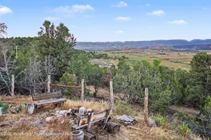 9224 Co Rd 331, Silt, CO 81652 - Photo 34