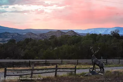 9224 County Road 331, Silt, CO 81652 - Photo 40