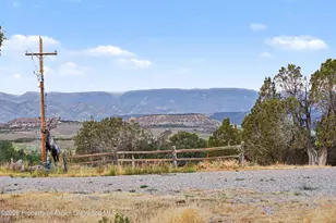 9224 Co Rd 331, Silt, CO 81652 - Photo 38