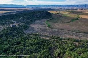 9224 Co Rd 331, Silt, CO 81652 - Photo 46