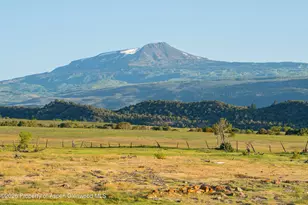 12590 Derby Mesa Loop, Burns, CO 80426 - Photo 10